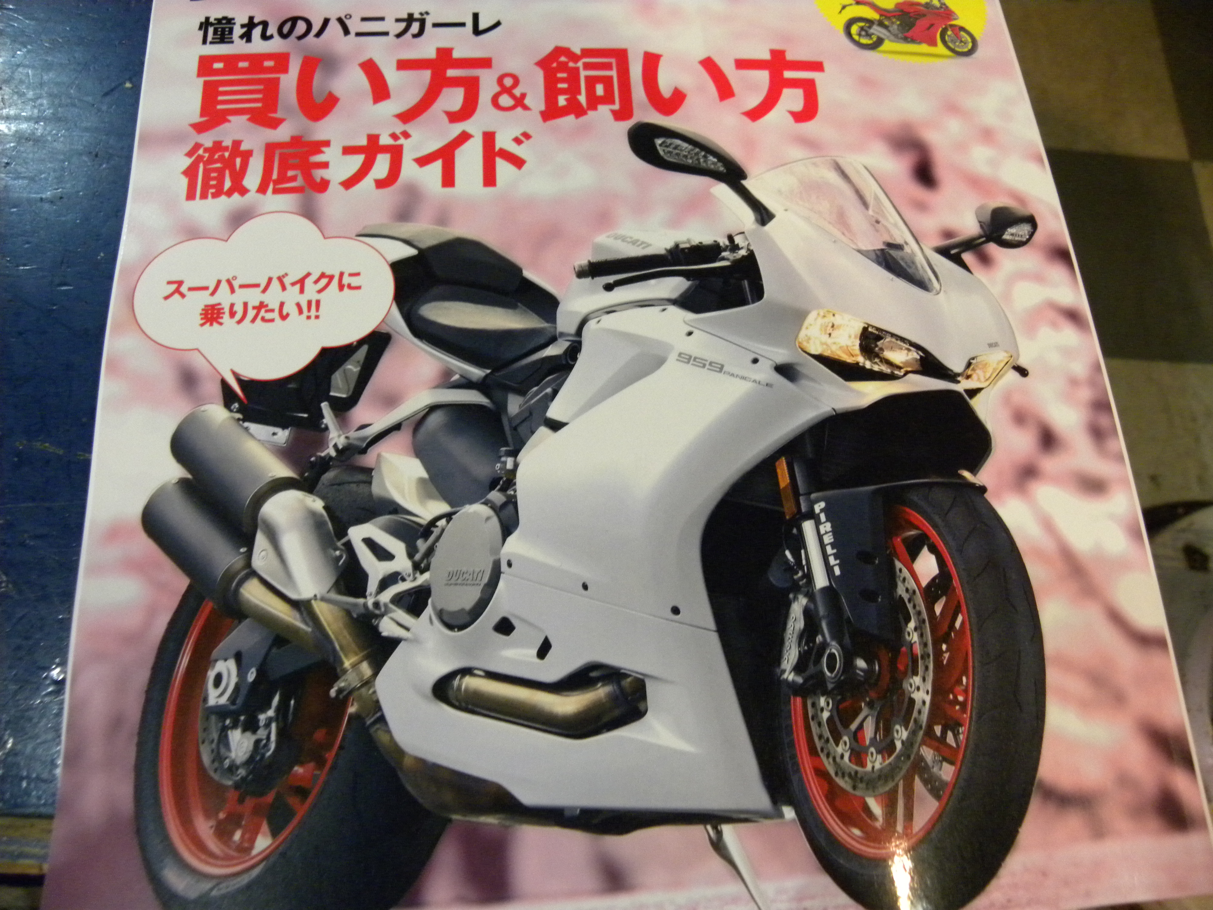 もうすぐ春ですね。 写真 2